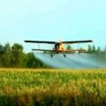 Услуги авиации по десикации кукурузы
