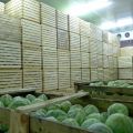 Овощехранилища, фруктохранилища, холодильные склады для овощей в Крыму.